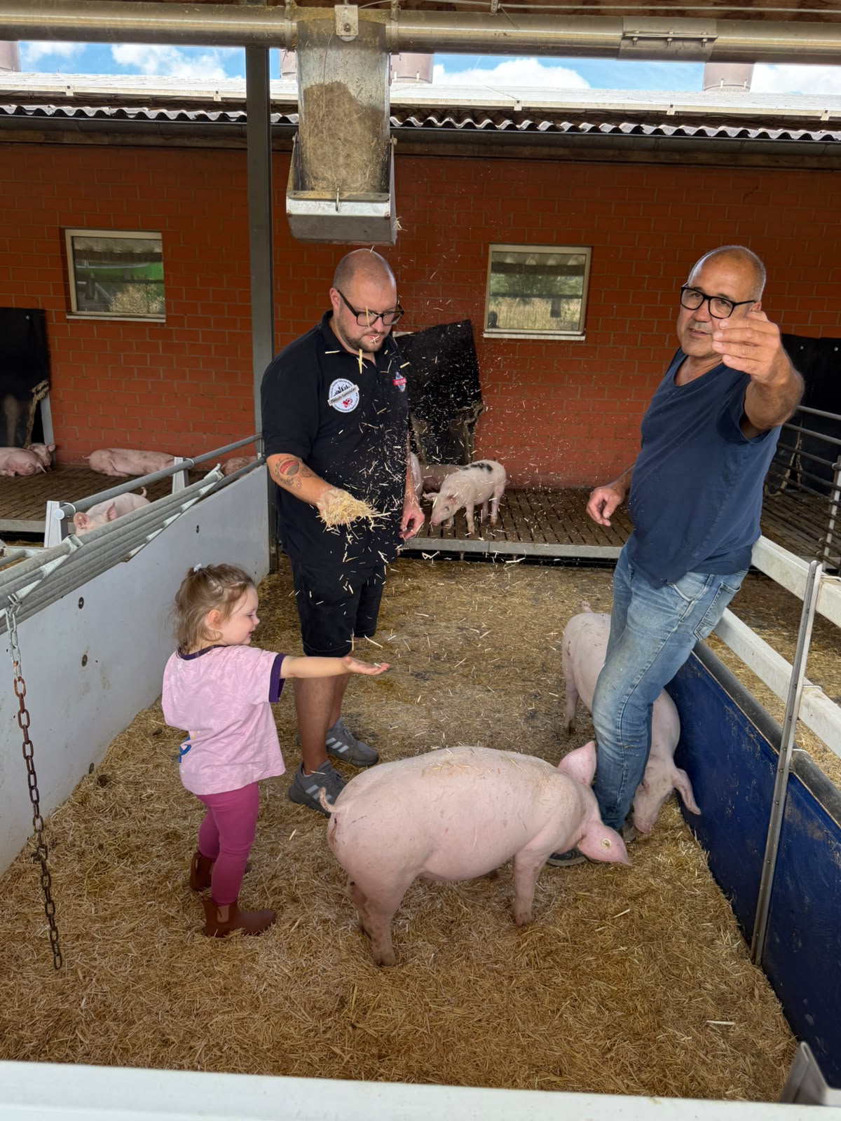DieFreilandschweine Der Familie Hennig